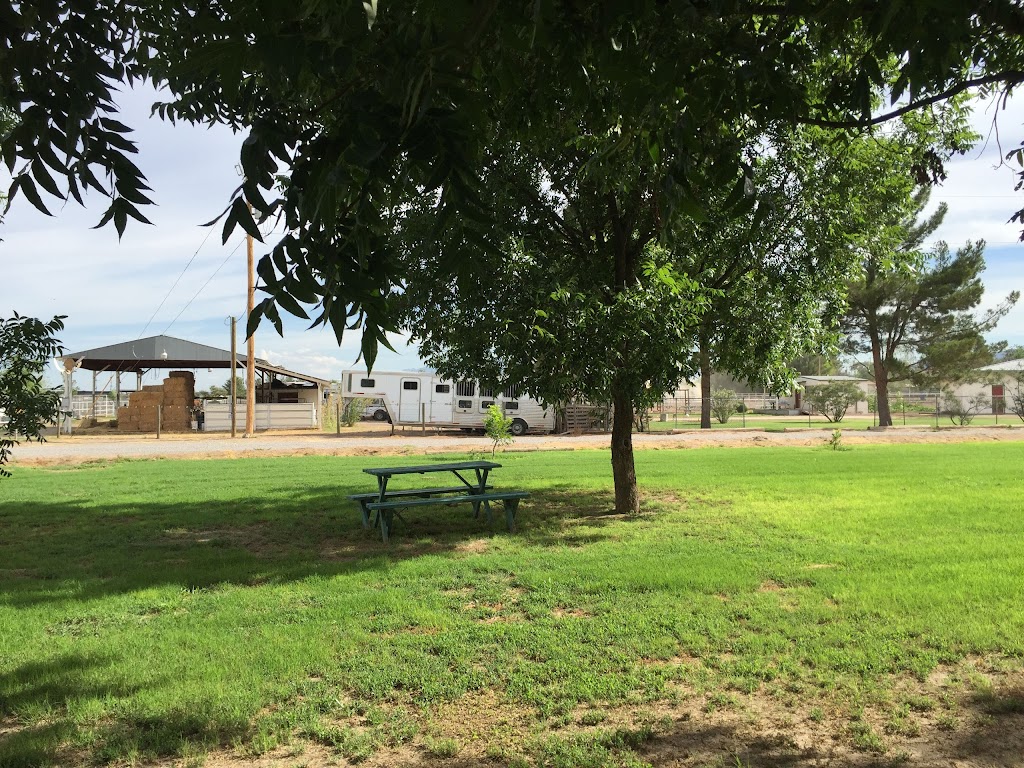 Open Heart G Farms LLC | 1811 Mule Deer Trail, Anthony, NM 88021, USA | Phone: (915) 920-5169