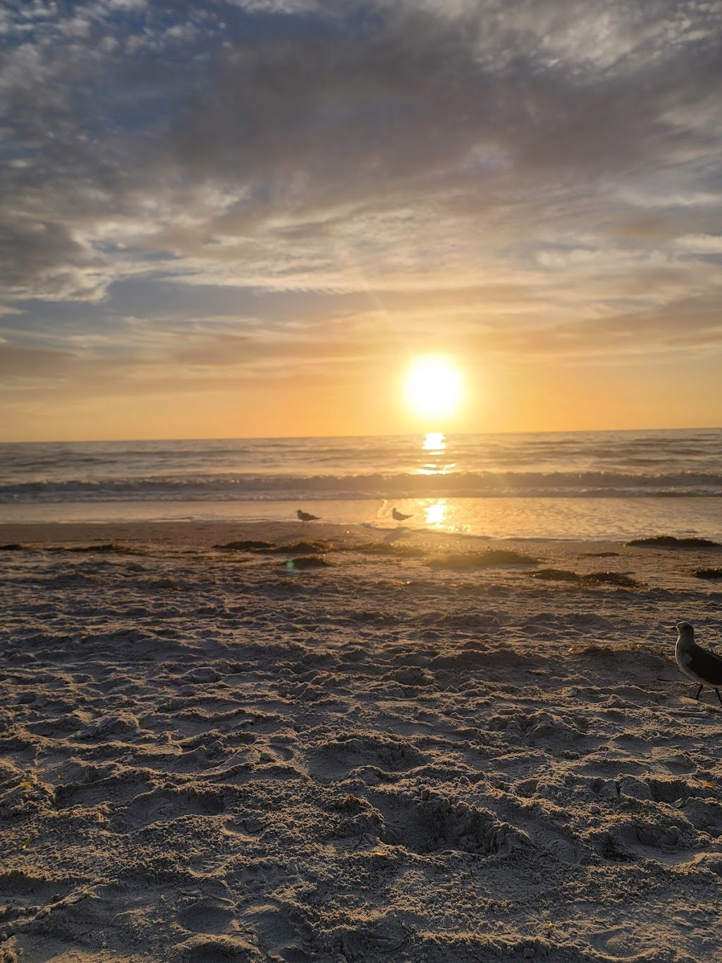 Caddys Treasure Island | 9000 W Gulf Blvd, Treasure Island, FL 33706, USA | Phone: (727) 360-4993