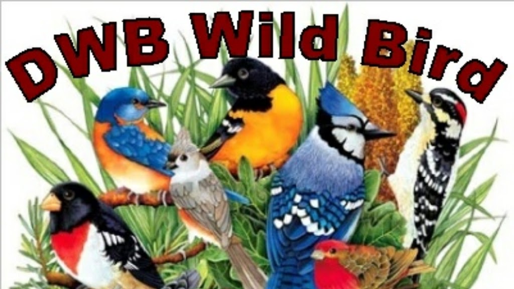 DWB Wild Bird | 13375 Log Rd, Peyton, CO 80831, USA | Phone: (719) 651-6804