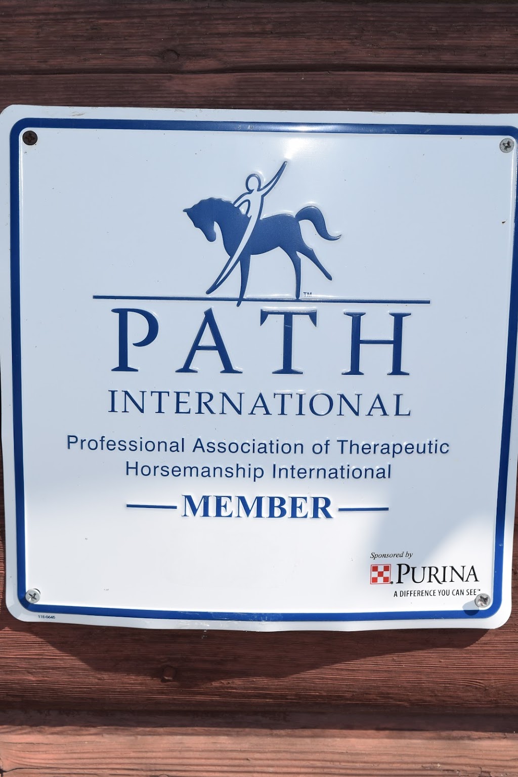 Dream Rider Equestrian Therapy | 543 Anderson Rd, Alpine, CA 91901, USA | Phone: (619) 445-2576