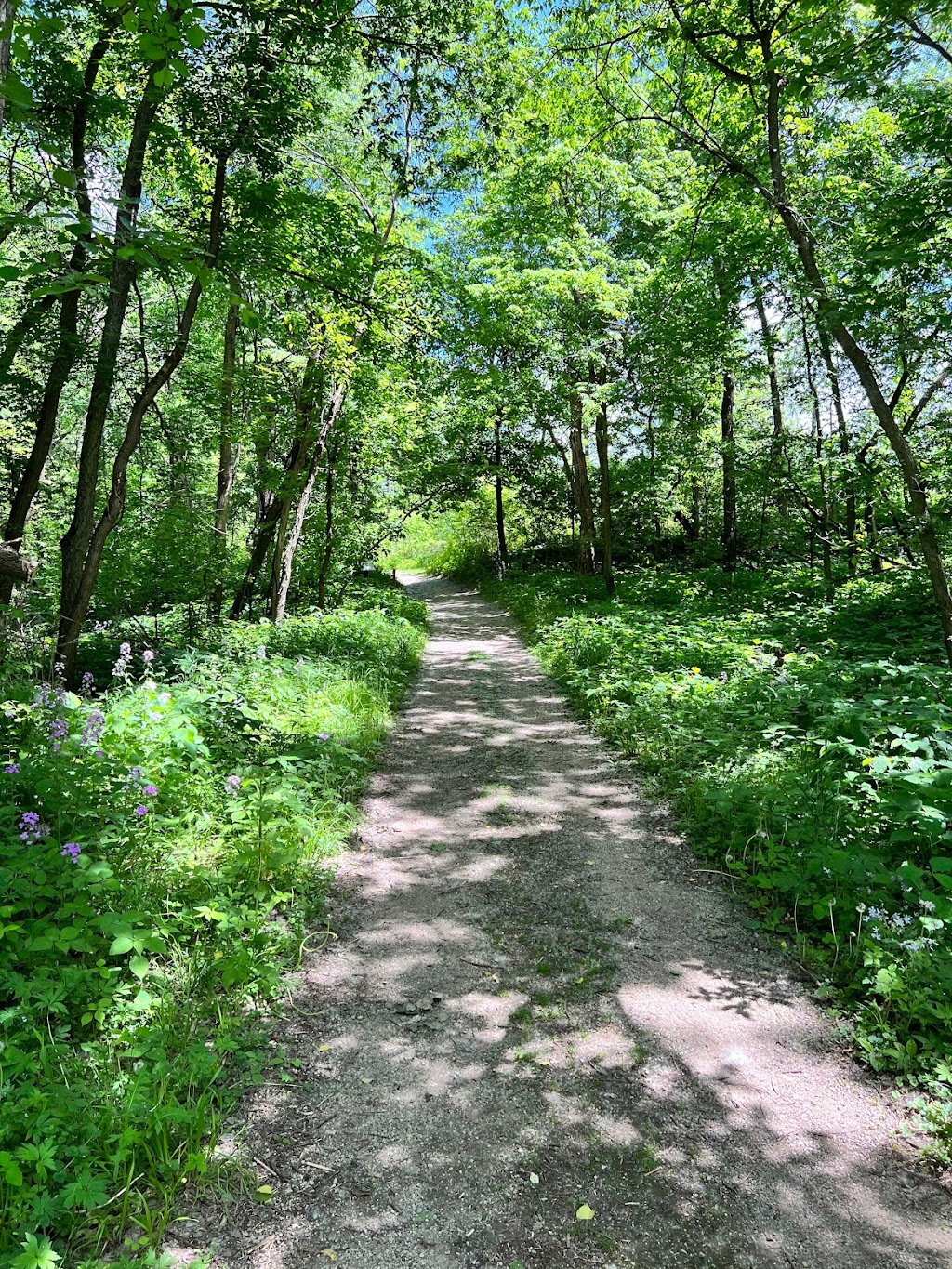 Cowling Arboretum | MN-19, Northfield, MN 55057, USA | Phone: (507) 222-4543