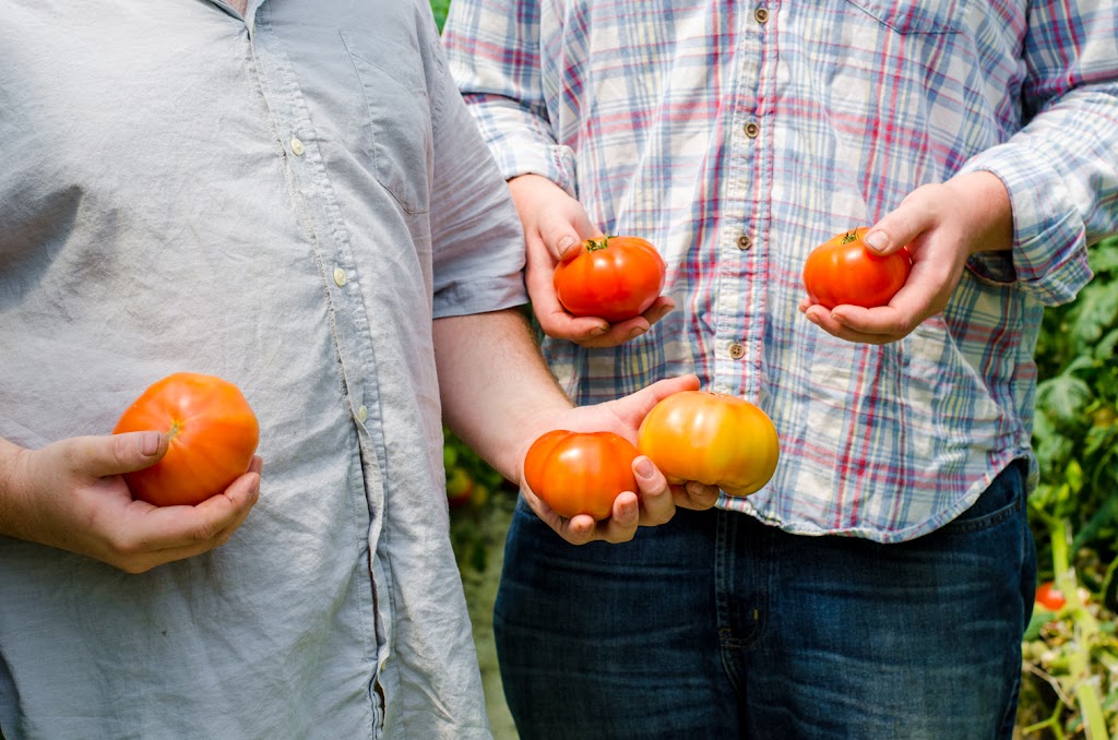 LL Urban Farms | 8225 Holly Springs Rd, Raleigh, NC 27606, USA | Phone: (919) 234-7538