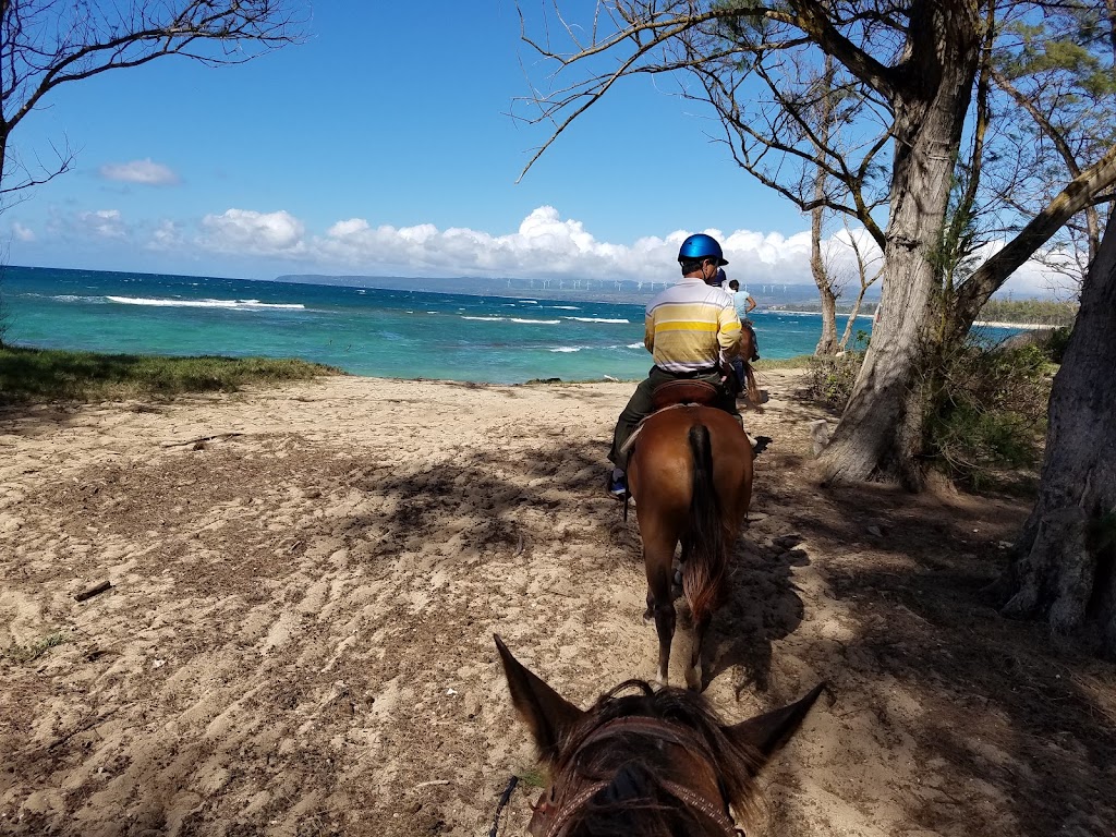 Hawaii Polo Oceanfront Trail Rides | 68-411 Farrington Hwy, Waialua, HI 96791, USA | Phone: (808) 220-5153