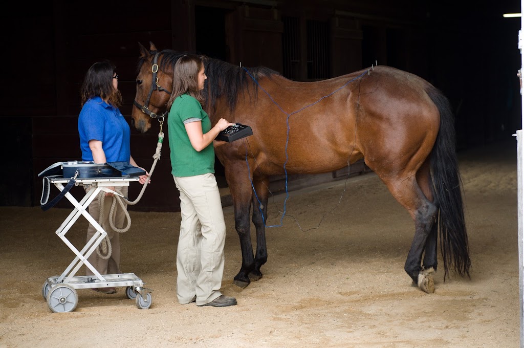 Irongate Equine Clinic | 1848 Waldorf Blvd, Madison, WI 53719 | Phone: (608) 845-6006