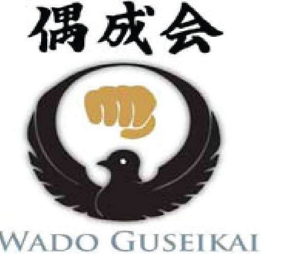 Wado Kai Karate DO New York | 94-23 Jamaica Ave, Woodhaven, NY 11421, USA | Phone: (718) 530-8769