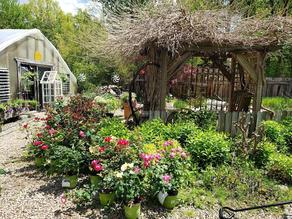 Always In Bloom Home & Garden | 10027 Silica Sand Rd, Garrettsville, OH 44231, USA | Phone: (216) 276-9304