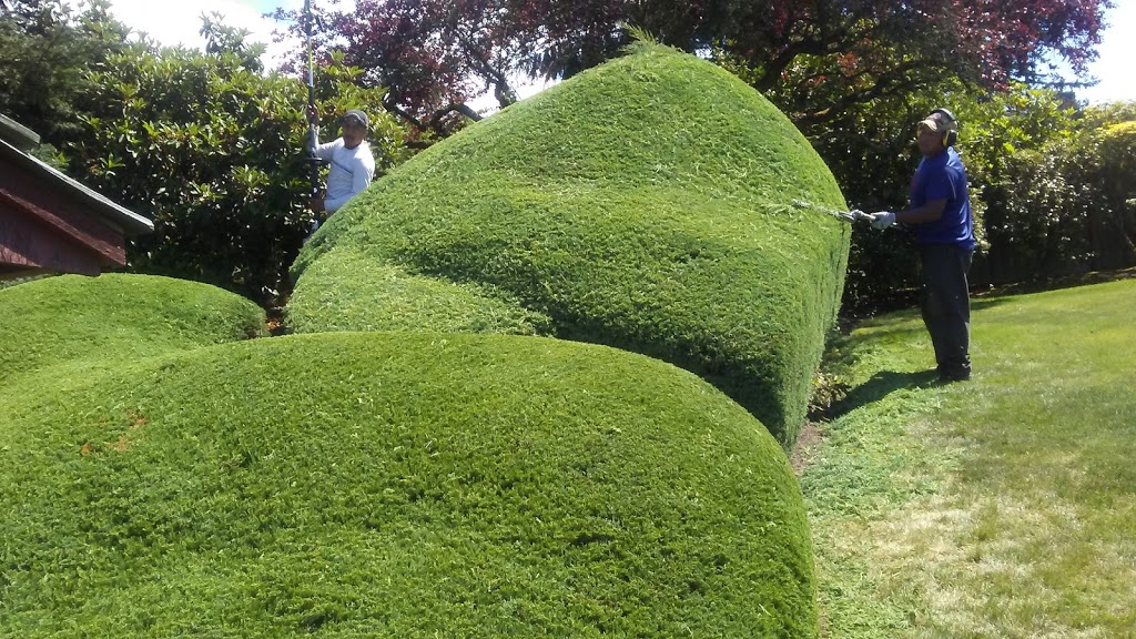 Hummingbird Hill Park | 1000 Edmonds St, Edmonds, WA 98020, USA | Phone: (425) 771-0230