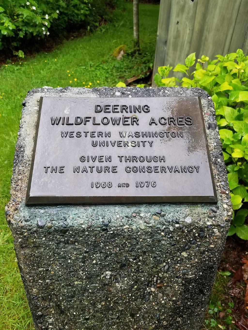 Deering Wild Flower Acres | 4708 79th Ave NE, Marysville, WA 98270, USA | Phone: (360) 363-8400