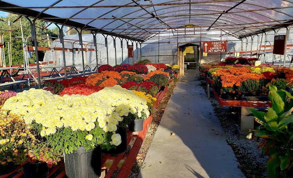 Lohmans Greenhouse & Feed Store | 10109 New Haven Rd, Harrison, OH 45030, USA | Phone: (513) 367-2424