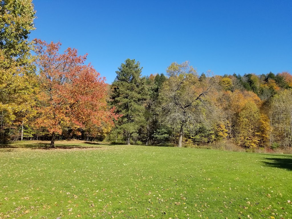 Sprague Brook County Park | 9674 Foote Rd, Glenwood, NY 14069, USA | Phone: (716) 592-2804