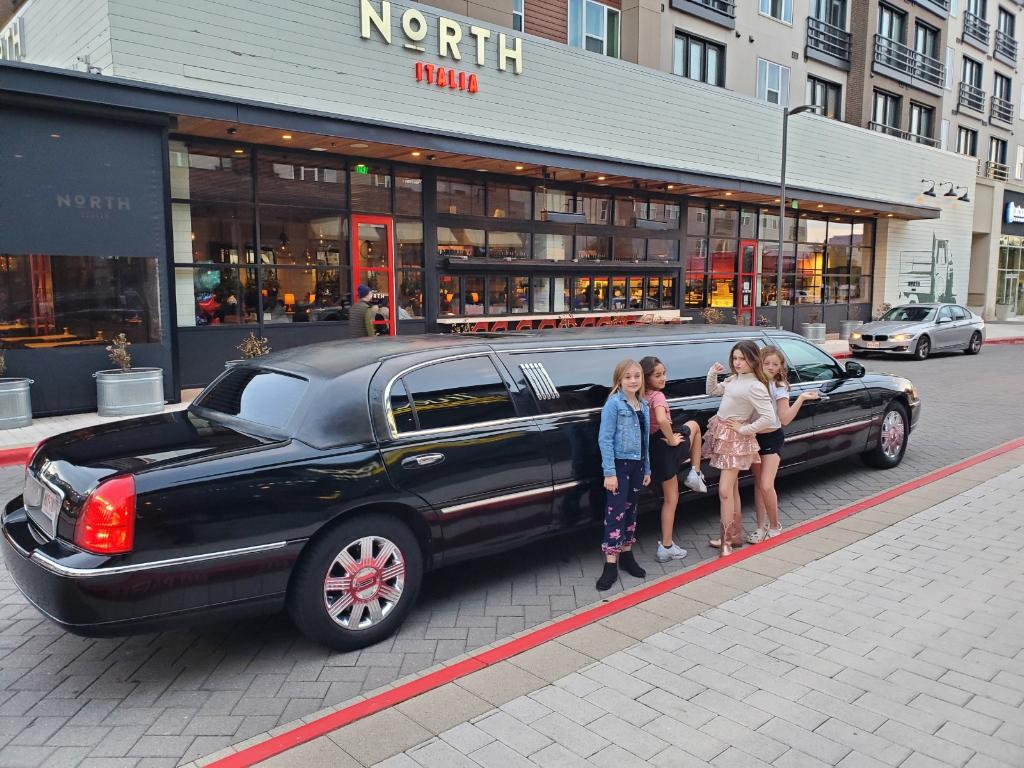 Blue Ribbon Limo | 6370 Piper Glen Rd Suite 308, McKinney, TX 75070, USA | Phone: (469) 333-7800