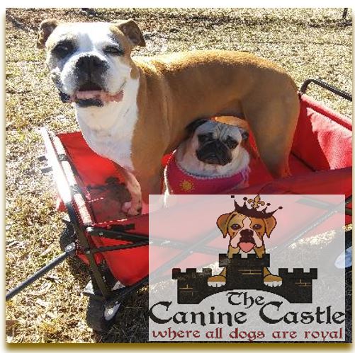 The Canine Castle LLC (of Alvin, Texas) | 4755 TX-35, Alvin, TX 77511 | Phone: (832) 336-1711