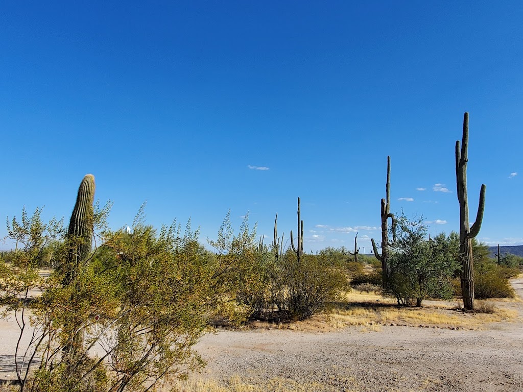 Arizona Desert Lofts | 51654 AZ-84, Maricopa, AZ 85139, USA | Phone: (480) 225-0700