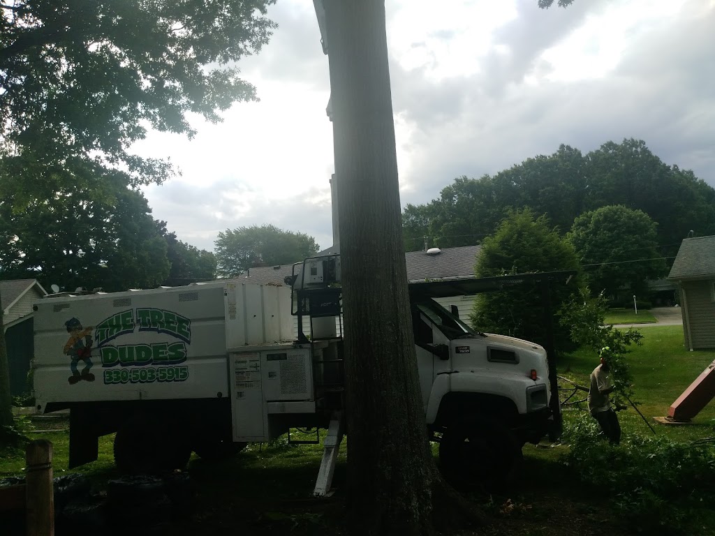 J.C.s Landscaping & Tree Service | 18 Coitsville Rd, Campbell, OH 44405, USA | Phone: (330) 503-5915