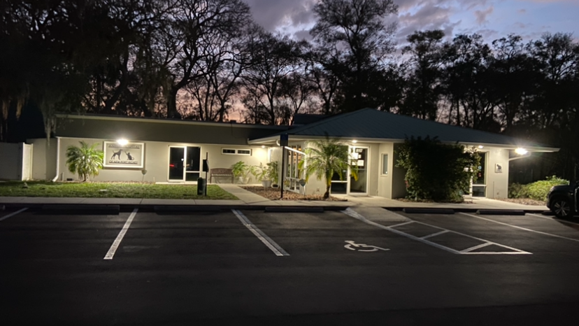 Animal Hospital of New Port Richey | 8117 Little Rd, New Port Richey, FL 34654, USA | Phone: (727) 842-7350