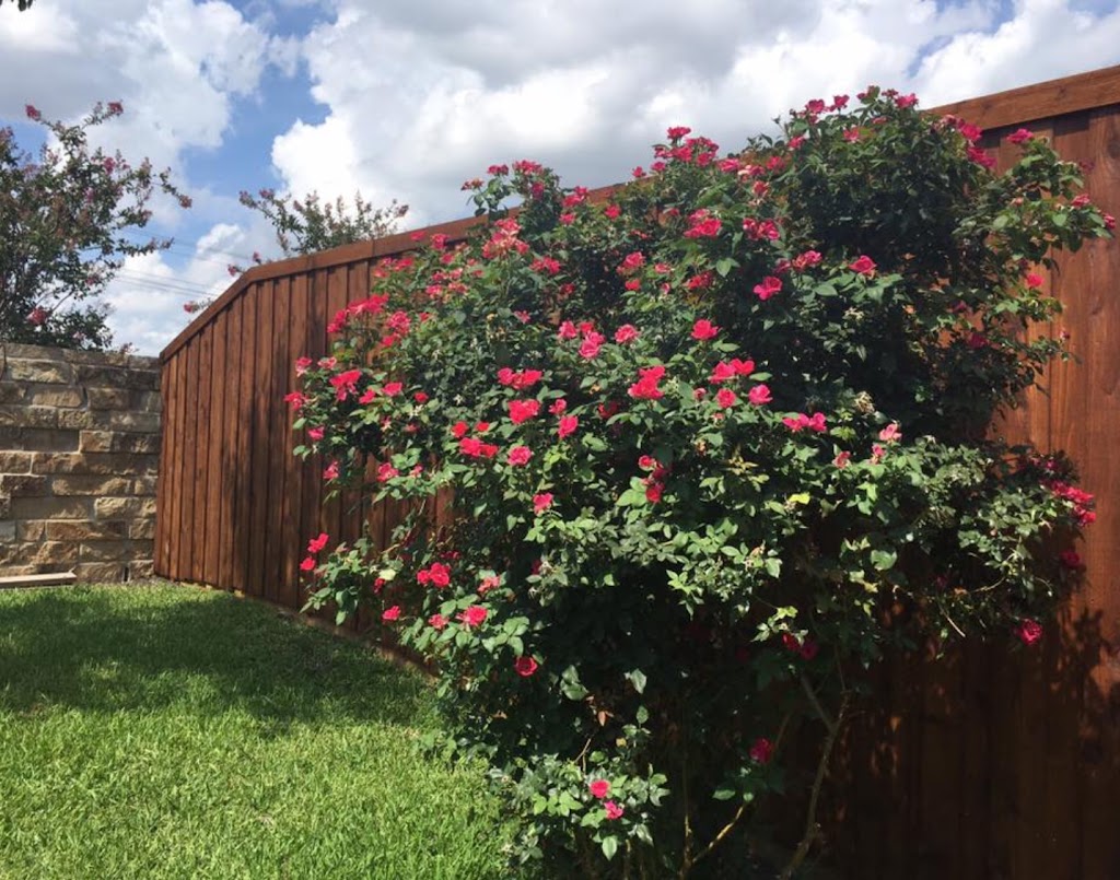 Alpha Fence Company | 5904 Edgewood Pl, Little Elm, TX 75068, USA | Phone: (972) 625-9874