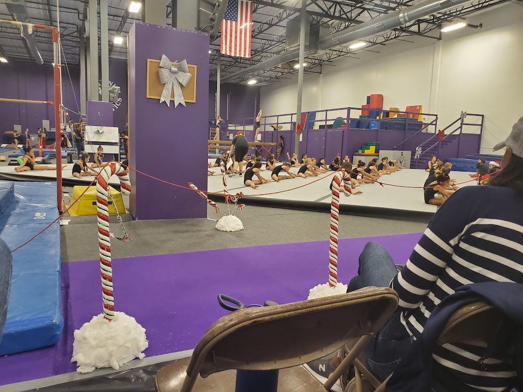 Platinum Gymnastics Academy | 3813A Helios Way #170, Pflugerville, TX 78660, USA | Phone: (512) 251-2776