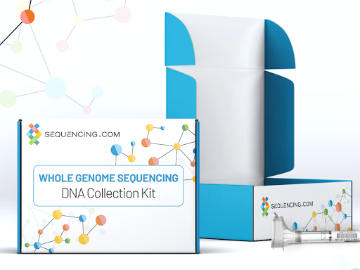 Sequencing | 830 Traction Ave #3a, Los Angeles, CA 90013, USA | Phone: (833) 544-0001