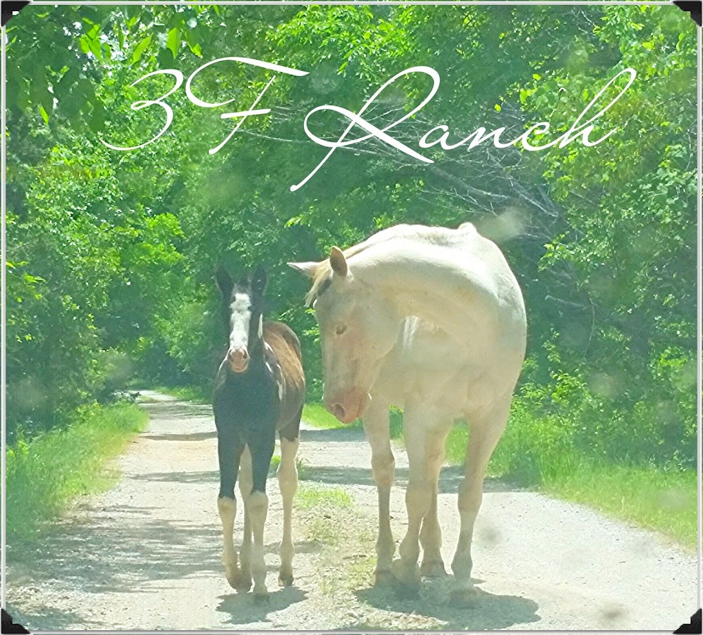 3F Ranch and Boarding | 2874 Simpson Rd, Edmond, OK 73034, USA | Phone: (405) 618-1699