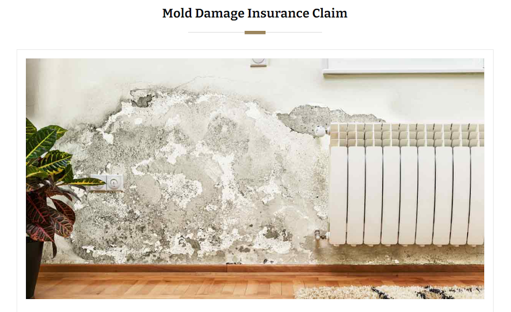 The Claim Squad Public Adjusters | 4420 NE 22nd Ave, Lighthouse Point, FL 33064, USA | Phone: (754) 252-5438