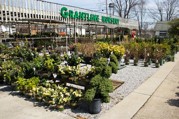 Grant Line Garden Center & Nursery | 2223 Grant Line Rd, New Albany, IN 47150, USA | Phone: (812) 945-5676