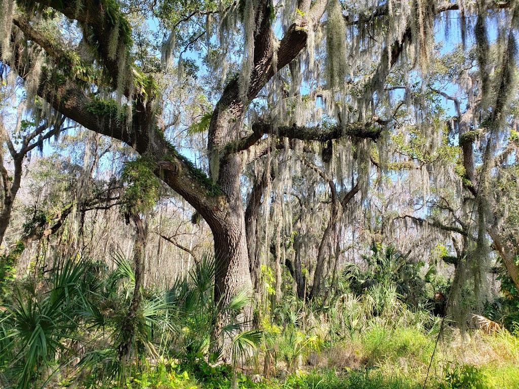 Felts Audubon Preserve | 4600 24th Ave E, Palmetto, FL 34221, USA | Phone: (941) 729-2222