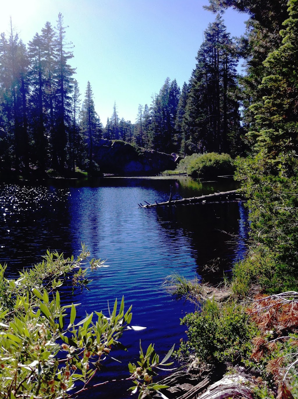 Sunset345sohui | 6349 Edgewood Way, Rocklin, CA 95677, USA | Phone: (916) 300-1512