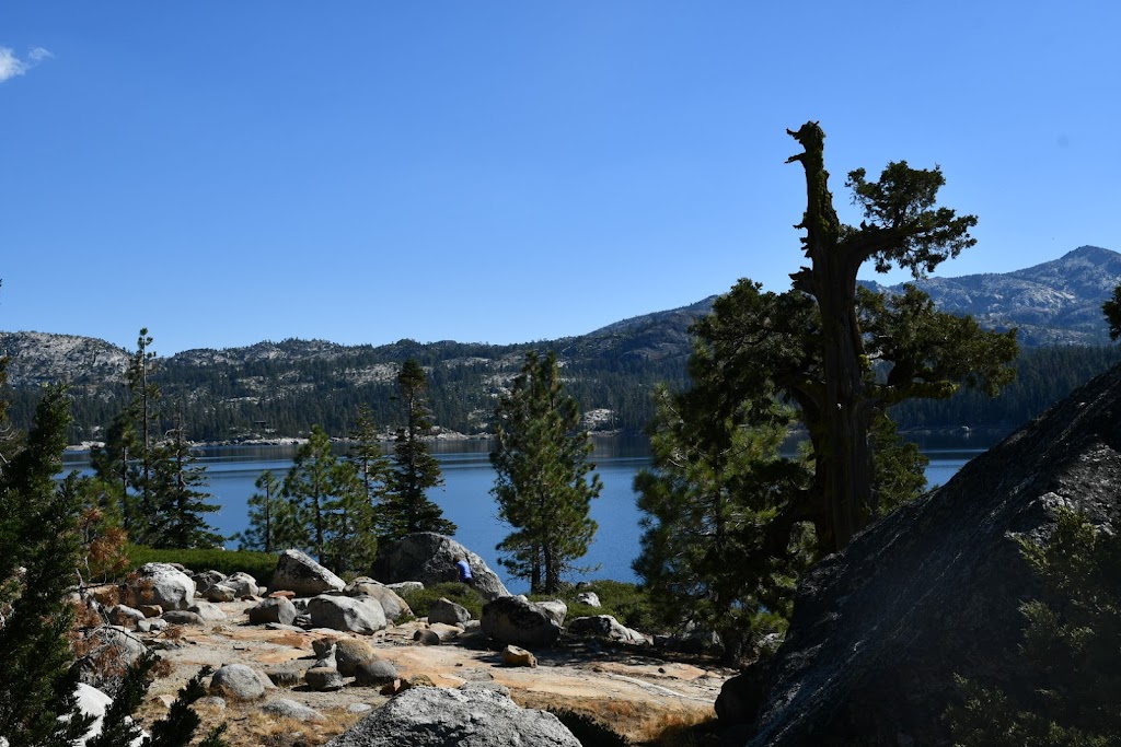 Loon Lake Group Campground #1 | California, USA | Phone: (530) 303-2412