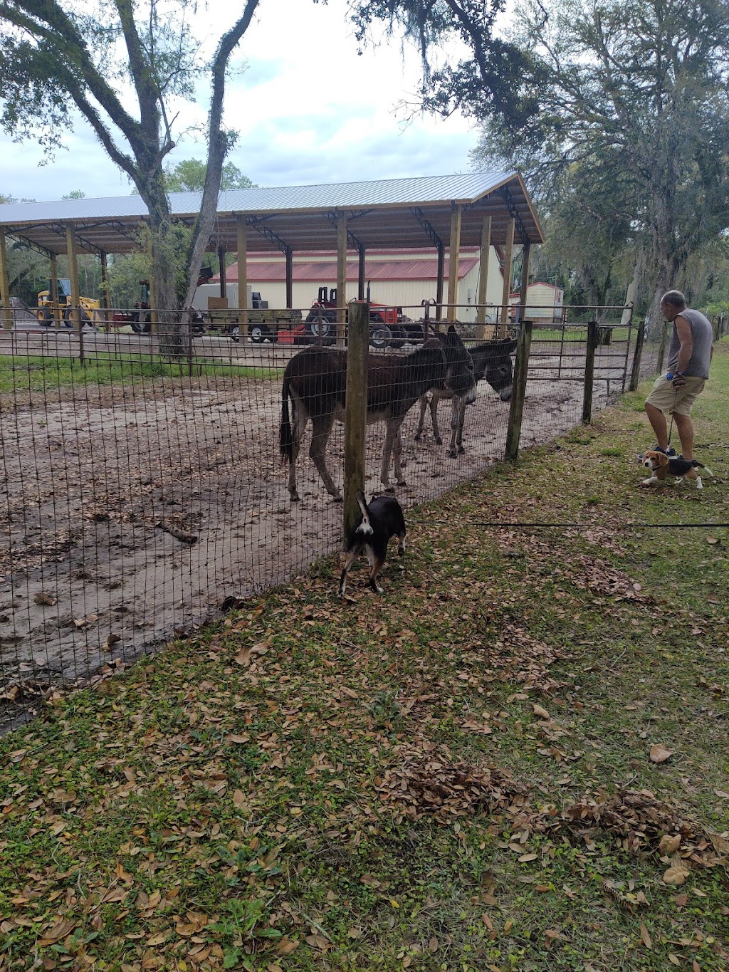 Homebound RV Parks | 4602 Co Rd 673 #1554, Bushnell, FL 33513, USA | Phone: (352) 793-1333