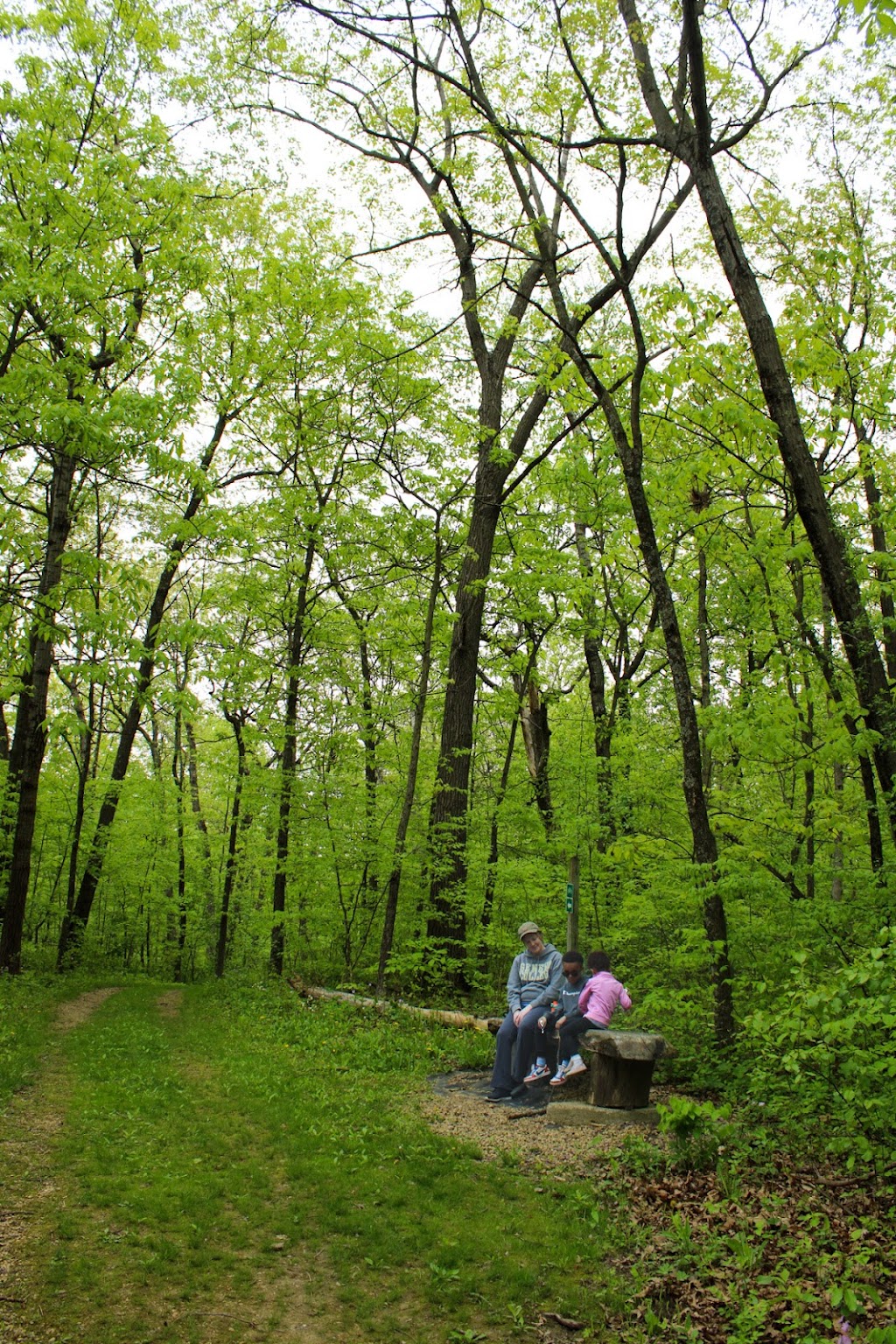 Blue Mound State Park | 4350 Mounds Park Rd, Blue Mounds, WI 53517, USA | Phone: (608) 437-5711