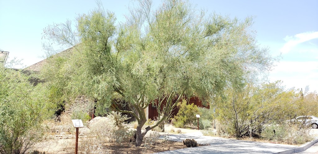 Usery Mountain Regional Park Nature Center | 3939 N Usery Pass Rd, Mesa, AZ 85207, USA | Phone: (480) 984-0032