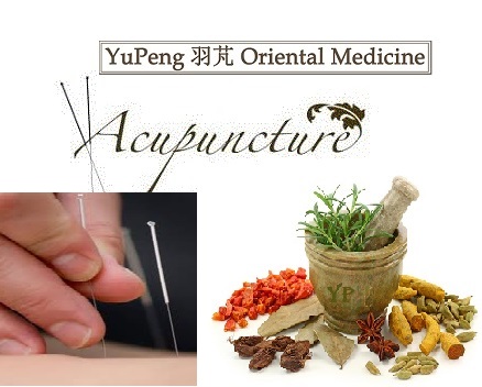 YUPENG Oriental Medicine | 270 Littleton Rd STE 5, Westford, MA 01886 | Phone: (978) 496-8265