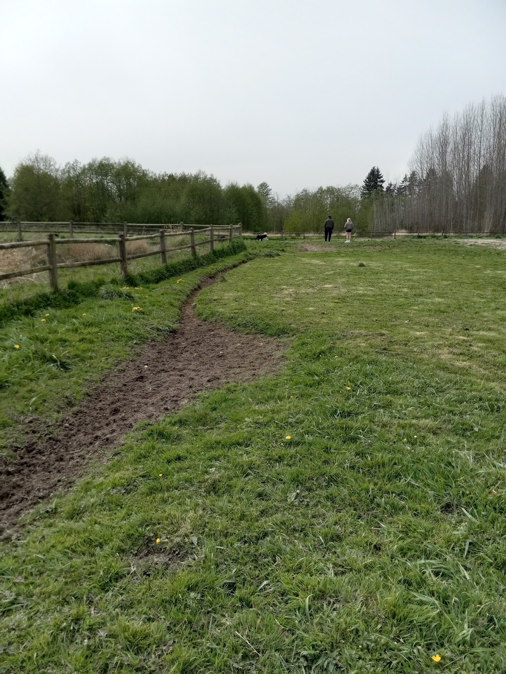 Cavalero Hill Dog Park | 7708 20th St SE, Lake Stevens, WA 98258, USA | Phone: (425) 388-6600