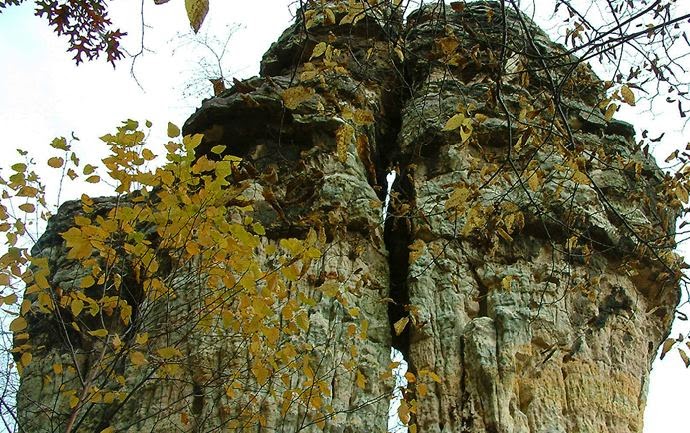 Chimney Rock Scientific and Natural Area (SNA) | Joan Ave, Hastings, MN 55033, USA | Phone: (651) 259-5800