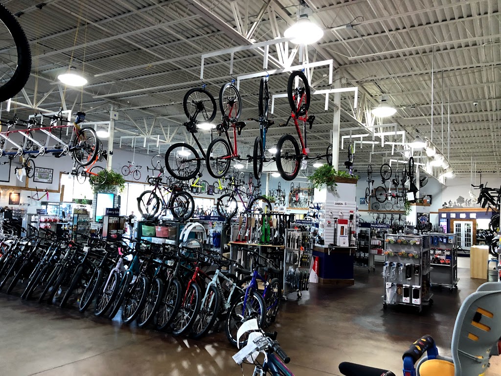 Bike Mart | 1451 W Campbell Rd, Richardson, TX 75080, USA | Phone: (972) 231-3993