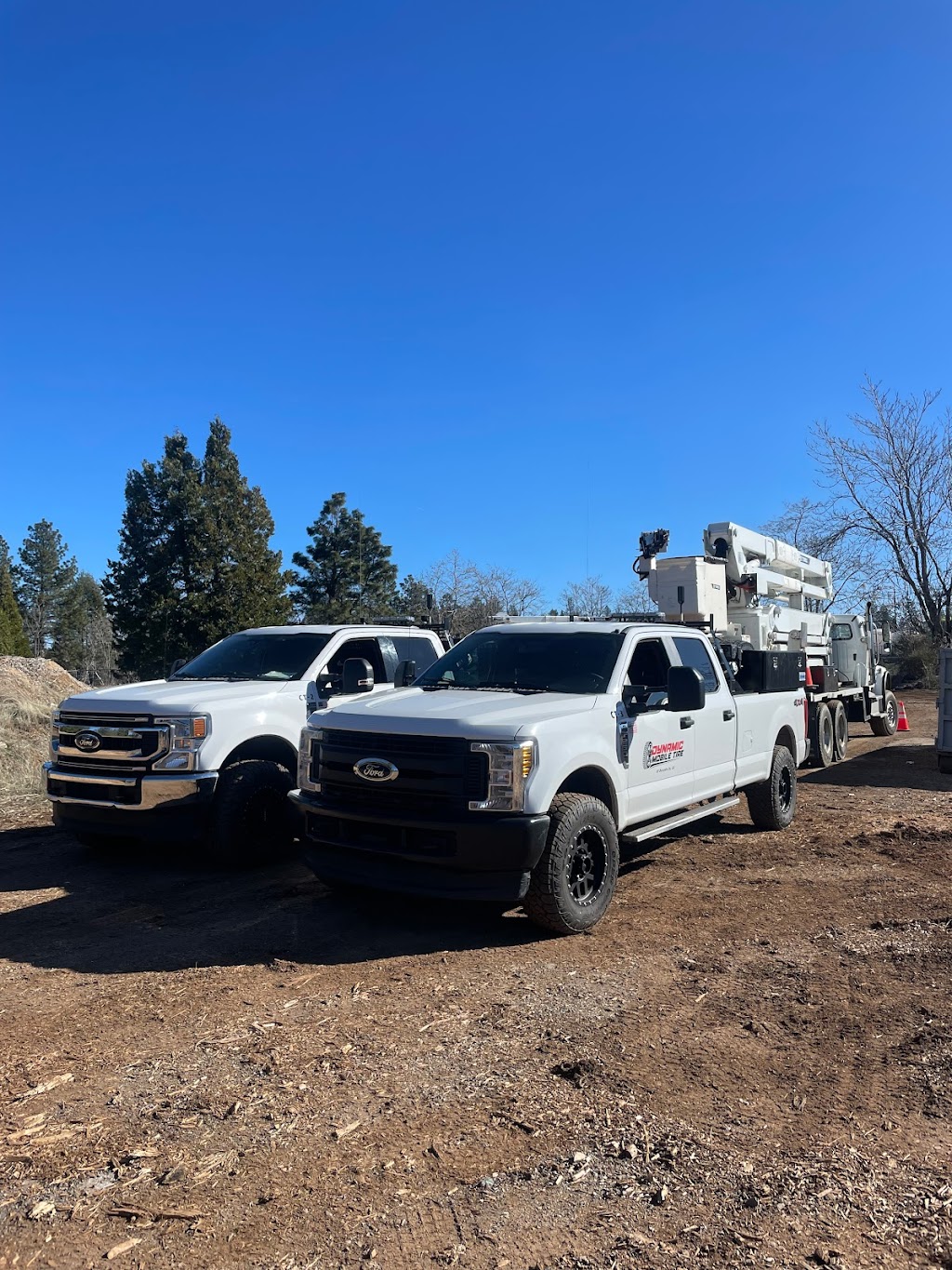 Dynamic Mobile Tire | Highway 50 &, Ponderosa Rd, Shingle Springs, CA 95682, USA | Phone: (530) 558-1250