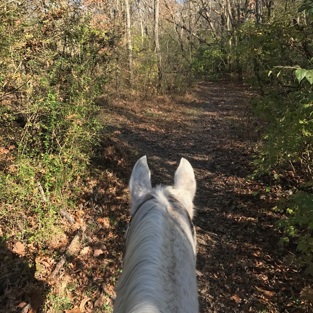 Creekside Riding Academy & Stables | 2359 Lewisburg Pike, Franklin, TN 37064, USA | Phone: (615) 595-7547