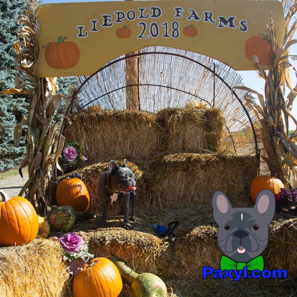 Liepold Farms | 14480 SE Richey Rd, Boring, OR 97009, USA | Phone: (503) 663-5880