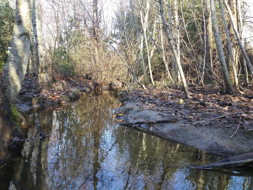 Silver Creek Riparian Zone | 1043 12th Ave SW, Puyallup, WA 98371, USA | Phone: (253) 841-4321