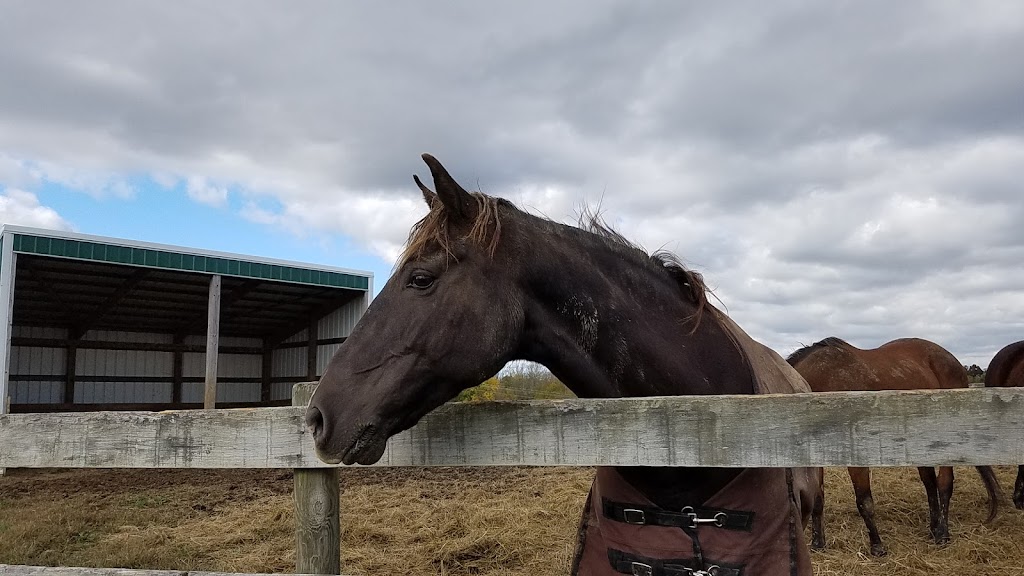 Shelby Trails Park & Red Fern Riding Center | 5063 Aiken Rd, Simpsonville, KY 40067, USA | Phone: (502) 437-4375