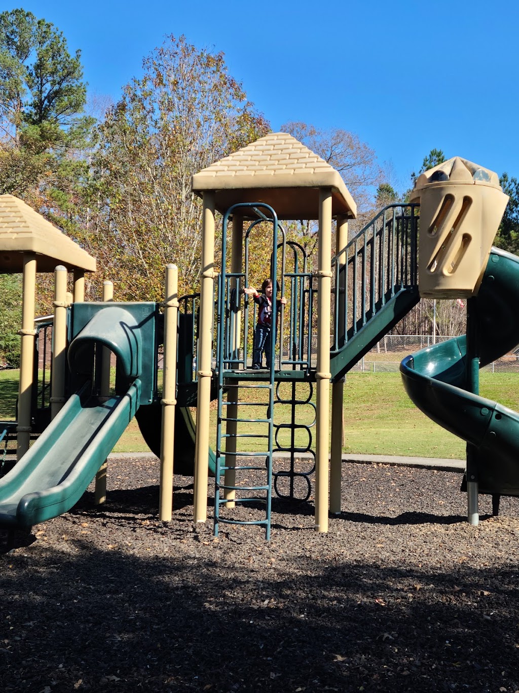 Sara Babb Park - 216 Recreation Dr, Dallas, GA 30132