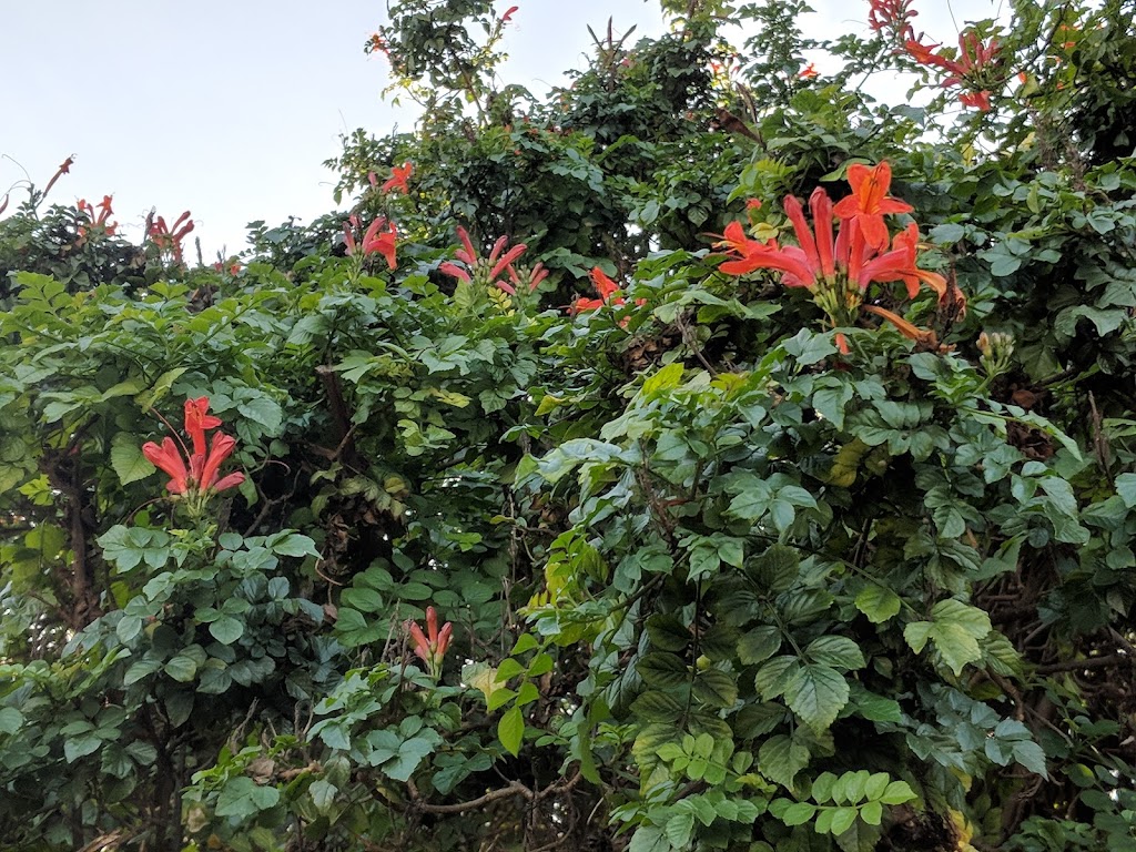 Valley Breeze Apartments | 1394 Oro Vista Rd, San Diego, CA 92154, USA | Phone: (619) 575-4428