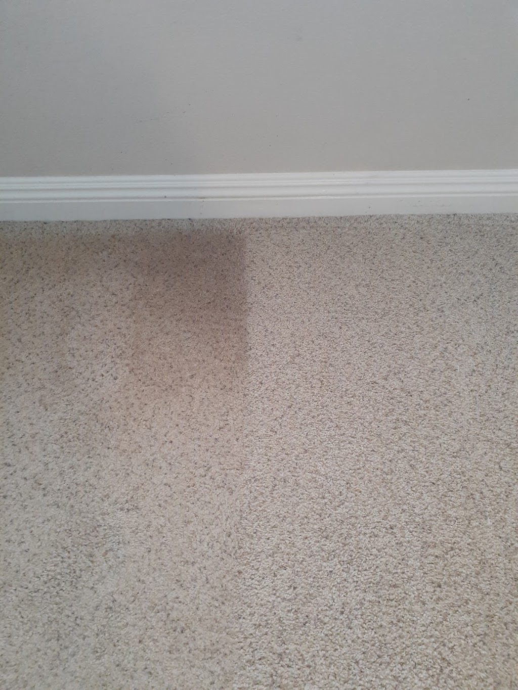 Pro Clean Carpet & Tile Cleaning | 38085 Via Del Largo, Murrieta, CA 92563, USA | Phone: (951) 587-1892