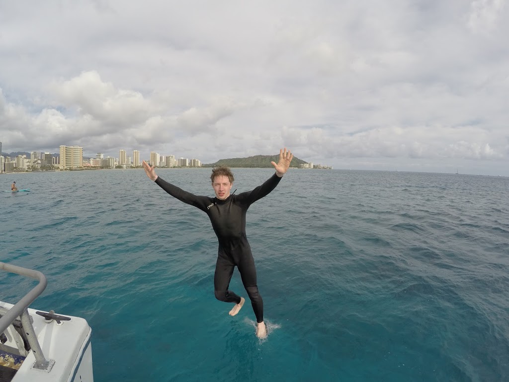 Oahu Diving | Kewalo Boat Harbor (*Not Dive Oahu*, Honolulu, HI 96814, USA | Phone: (808) 721-4210