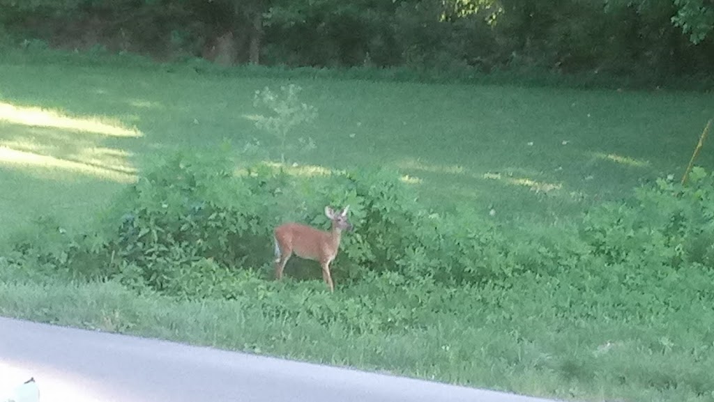 Cedar Line Nature Preserve | 5, Hale Rd, Butler, KY 41006, USA | Phone: (859) 654-4321