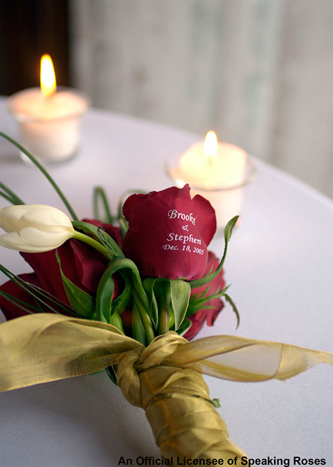 Talk ta Me Floral | 26560 W 207th St, Spring Hill, KS 66083, USA | Phone: (913) 717-6731 Talk ta Me Floral | 26560 W 207th St, Spring Hill, KS 66083, USA | Phone: (913) 717-6731