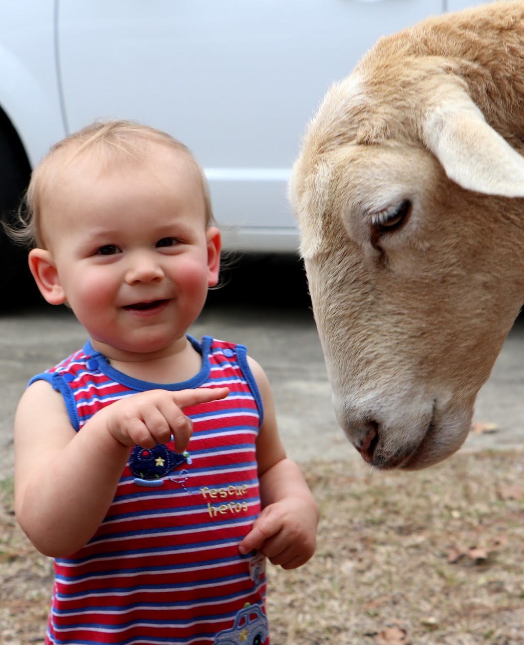 Barefoot Creek Farm Mobile Petting Zoo | 1100 Freedom Lane, Carthage, NC 28327, USA | Phone: (910) 286-9288