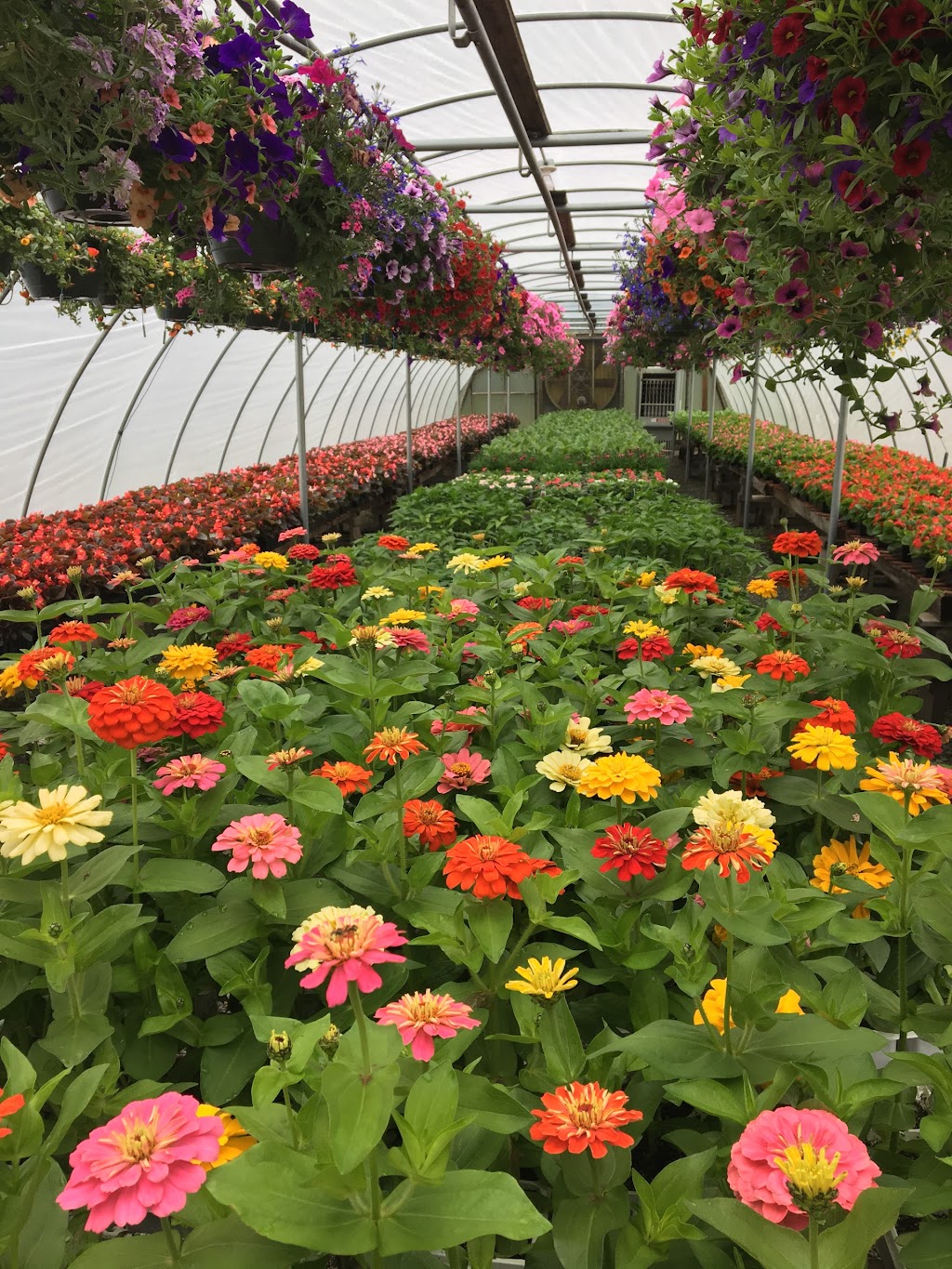 Grants Garden Center | 2115 OH-131, Batavia, OH 45103, USA | Phone: (513) 625-5100