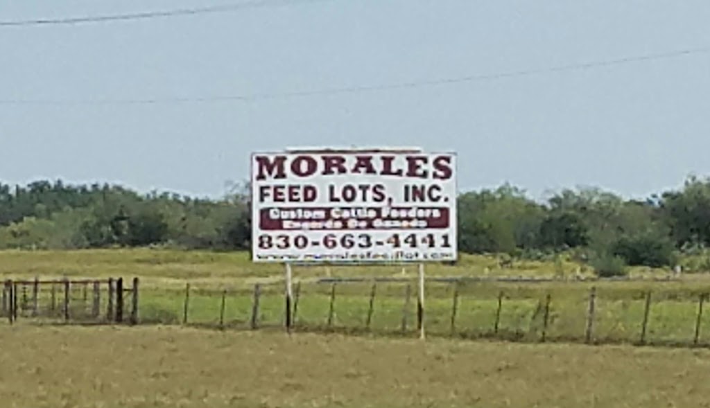 Morales Feed Lots Inc. Custom Cattle Feeders | 480, Morales Feed Lot Rd, Devine, TX 78016, USA | Phone: (830) 663-4441