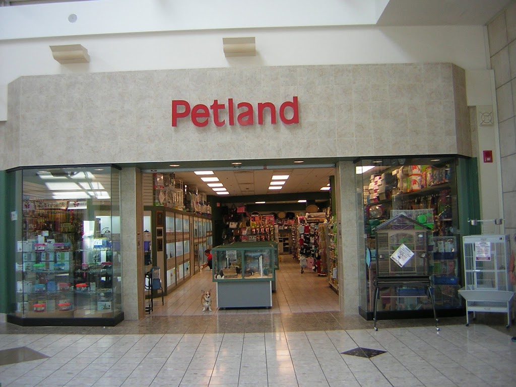 Petland Strongsville | 1148 Southpark Center Suite 400, Strongsville, OH 44136, USA | Phone: (216) 284-4803